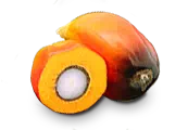 Minyak kelapa sawit